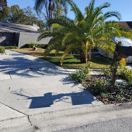 Beautiful Apartment Close To Everything Tampa Luaran gambar