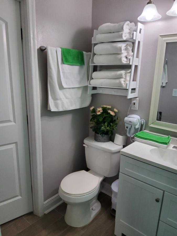 Beautiful Apartment Close To Everything Tampa Luaran gambar