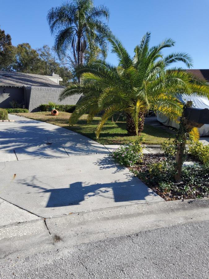 Beautiful Apartment Close To Everything Tampa Luaran gambar