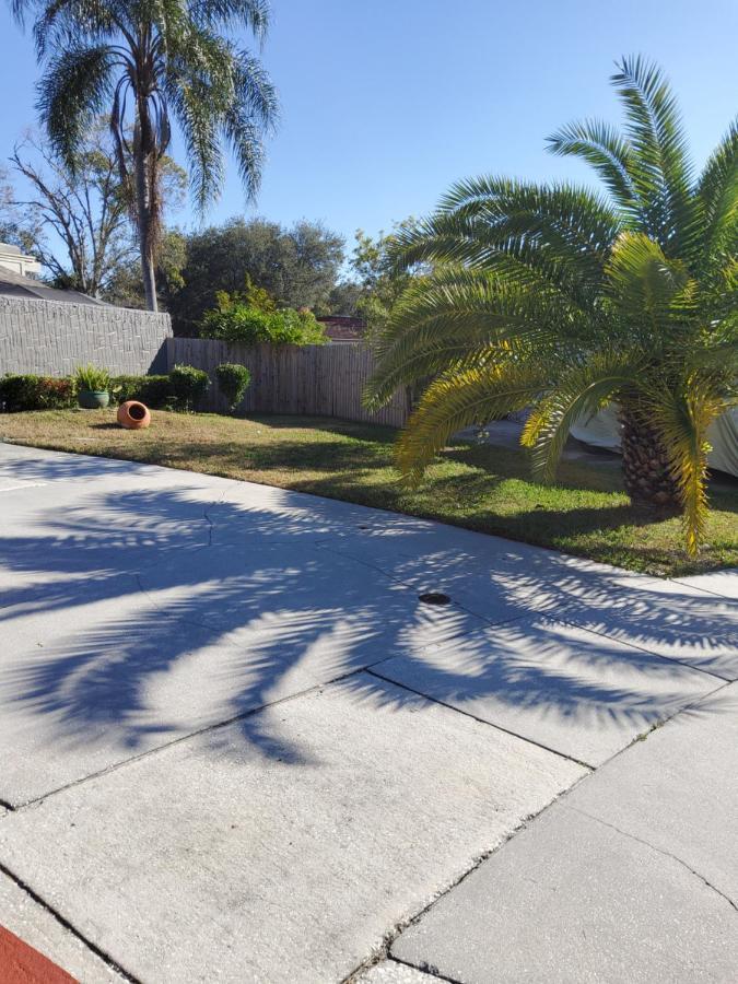 Beautiful Apartment Close To Everything Tampa Luaran gambar