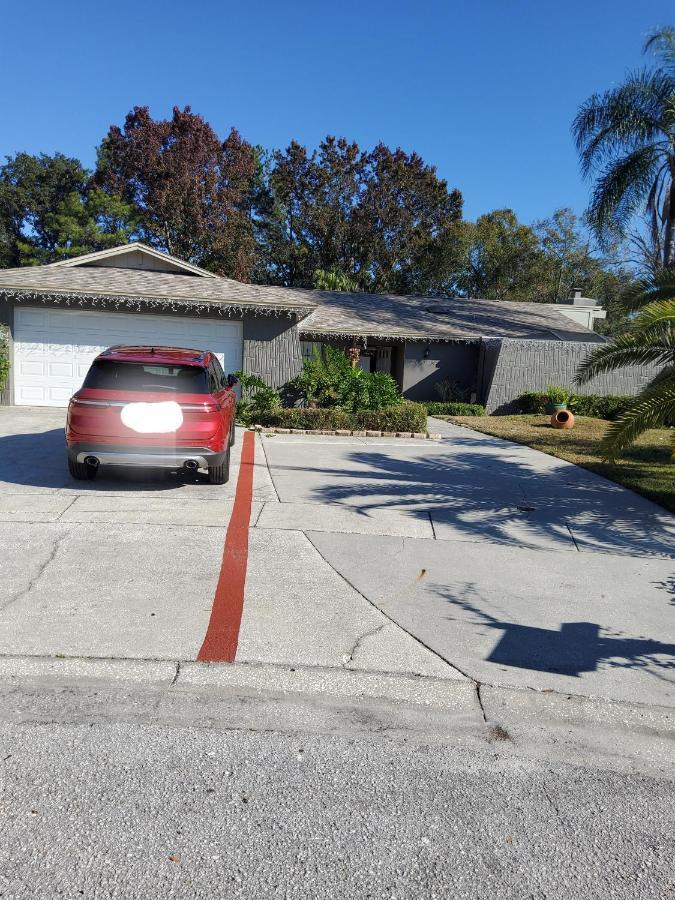 Beautiful Apartment Close To Everything Tampa Luaran gambar