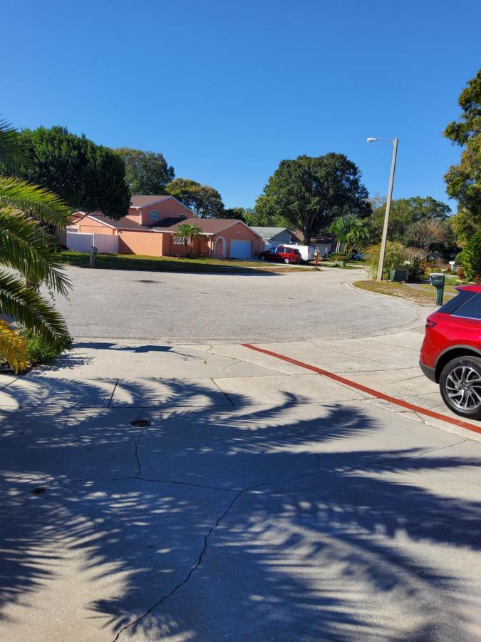 Beautiful Apartment Close To Everything Tampa Luaran gambar