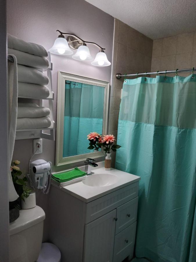 Beautiful Apartment Close To Everything Tampa Luaran gambar