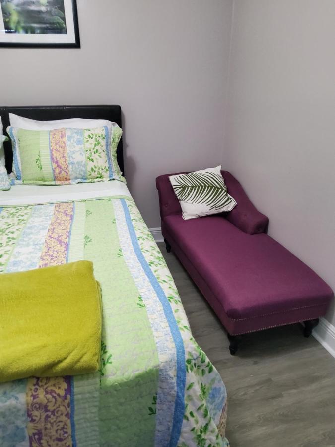 Beautiful Apartment Close To Everything Tampa Luaran gambar