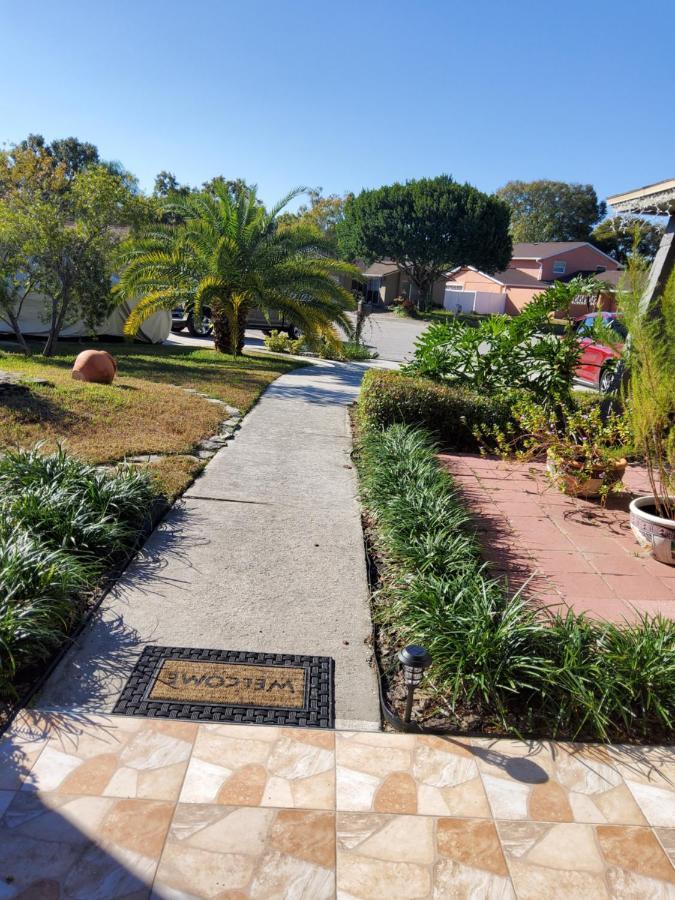 Beautiful Apartment Close To Everything Tampa Luaran gambar