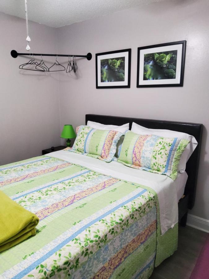 Beautiful Apartment Close To Everything Tampa Luaran gambar